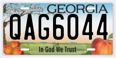 GA license plate QAG6044