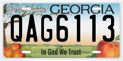 GA license plate QAG6113
