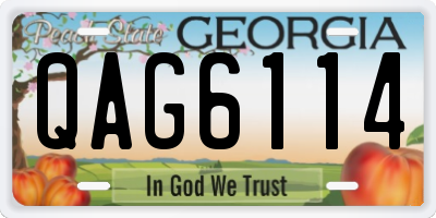 GA license plate QAG6114