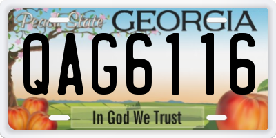 GA license plate QAG6116