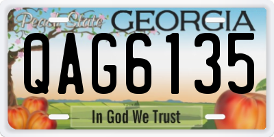 GA license plate QAG6135