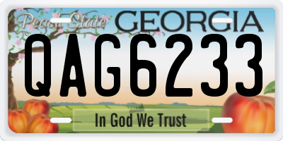 GA license plate QAG6233