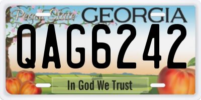 GA license plate QAG6242