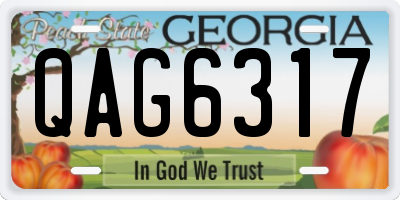 GA license plate QAG6317