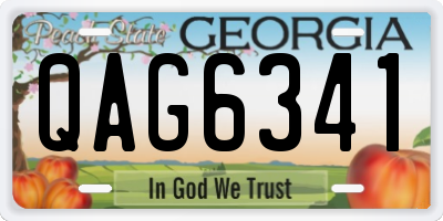 GA license plate QAG6341