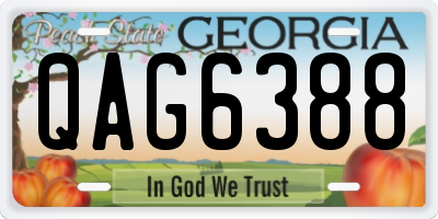 GA license plate QAG6388
