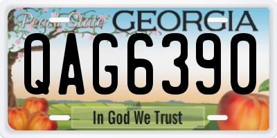 GA license plate QAG6390