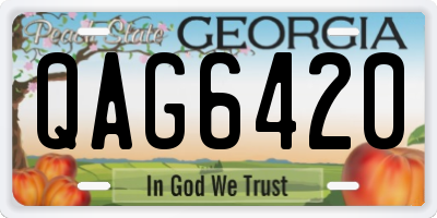 GA license plate QAG6420