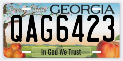 GA license plate QAG6423
