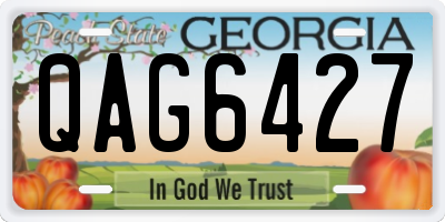 GA license plate QAG6427