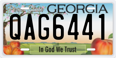 GA license plate QAG6441
