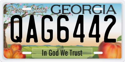 GA license plate QAG6442