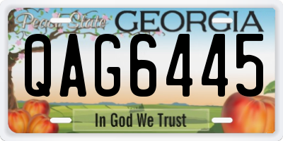 GA license plate QAG6445