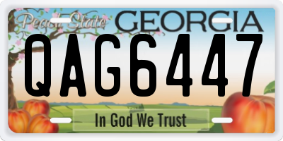 GA license plate QAG6447