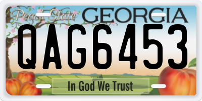 GA license plate QAG6453