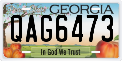 GA license plate QAG6473