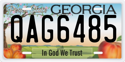 GA license plate QAG6485