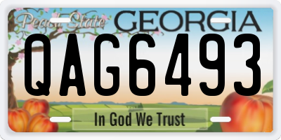 GA license plate QAG6493