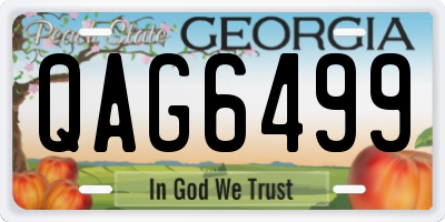GA license plate QAG6499