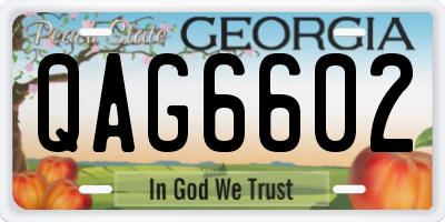 GA license plate QAG6602