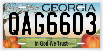 GA license plate QAG6603