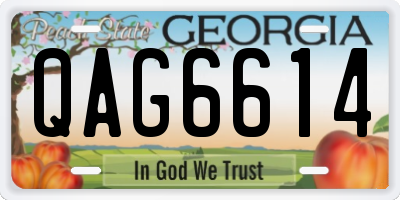 GA license plate QAG6614