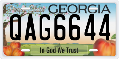 GA license plate QAG6644