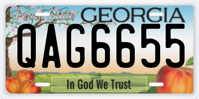GA license plate QAG6655