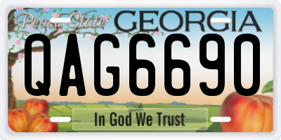 GA license plate QAG6690