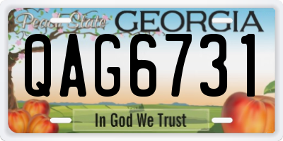 GA license plate QAG6731