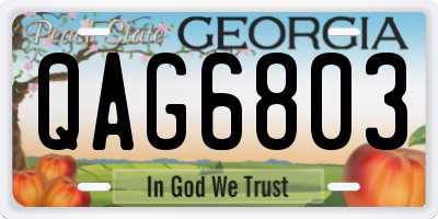 GA license plate QAG6803