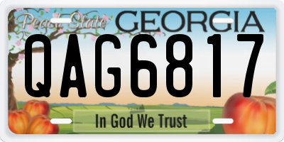 GA license plate QAG6817