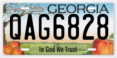 GA license plate QAG6828