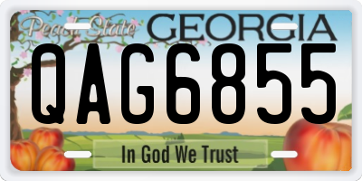 GA license plate QAG6855
