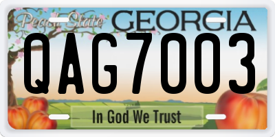 GA license plate QAG7003