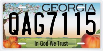 GA license plate QAG7115