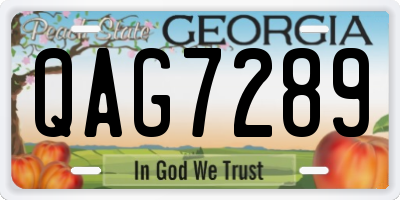 GA license plate QAG7289