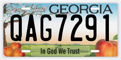 GA license plate QAG7291