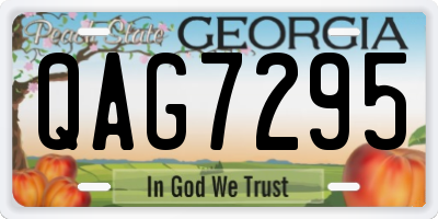 GA license plate QAG7295