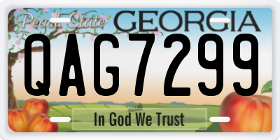 GA license plate QAG7299
