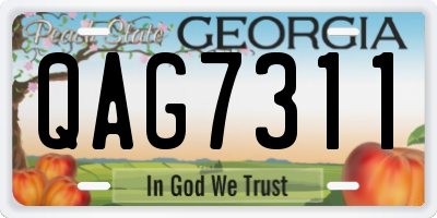 GA license plate QAG7311