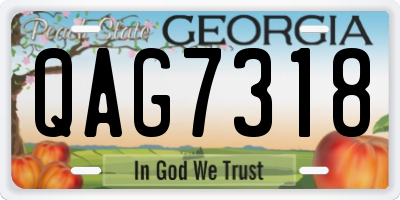 GA license plate QAG7318
