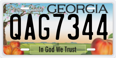 GA license plate QAG7344