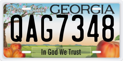 GA license plate QAG7348