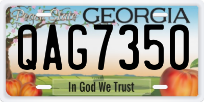 GA license plate QAG7350