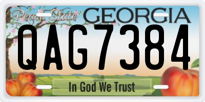 GA license plate QAG7384