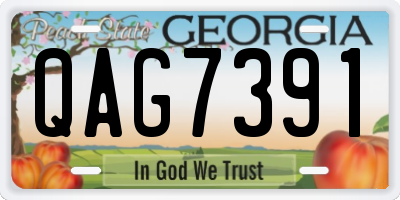 GA license plate QAG7391