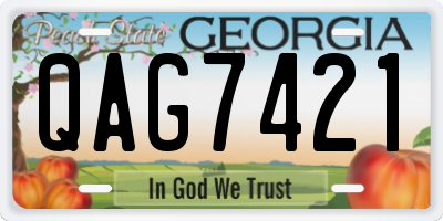 GA license plate QAG7421