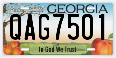 GA license plate QAG7501