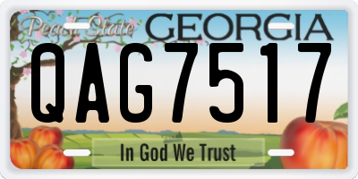 GA license plate QAG7517